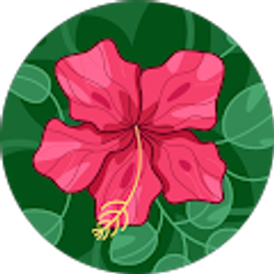 Profile photo of Roger H Kottke