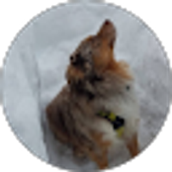 Profile photo of Gloria Juday