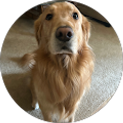 Profile photo of Alyssa Di