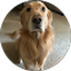 Profile photo of Alyssa Di