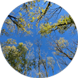 Profile photo of BeechGroveBrooks