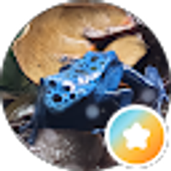 Profile photo of Gi Gi