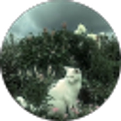 Profile photo of Aubrey Ruiz
