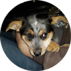 Profile photo of Krysten Leyendekker