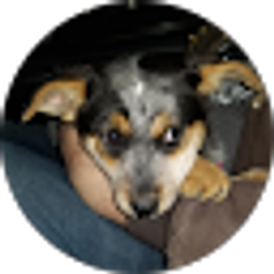 Profile photo of Krysten Leyendekker