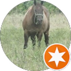 Profile photo of sharon m