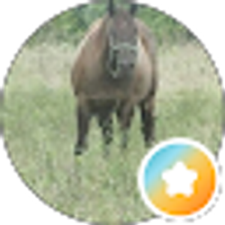 Profile photo of sharon m