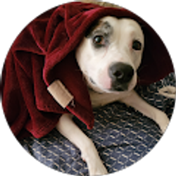 Profile photo of Mary Lueders