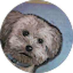 Profile photo of Macaleb AzTodlr