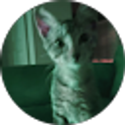Profile photo of Angel