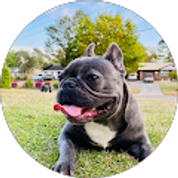 Profile photo of chris dubois