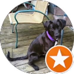 Profile photo of Gary Sbraccia