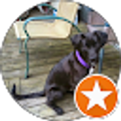 Profile photo of Gary Sbraccia