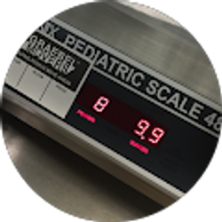 Profile photo of Ravens Rasta