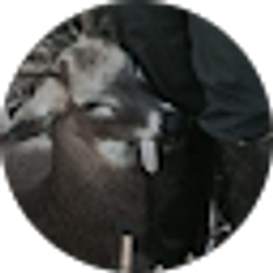 Profile photo of I BRO TEN