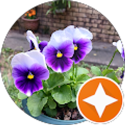 Profile photo of Linda Robinson