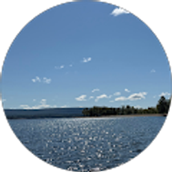 Profile photo of C M