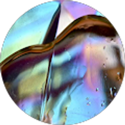 Profile photo of Elizabeth Tice