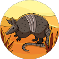 Profile photo of Jordo Bordo