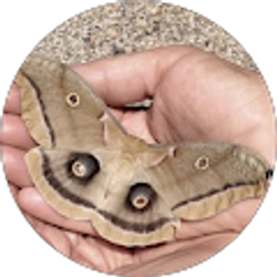 Profile photo of sherrie braun