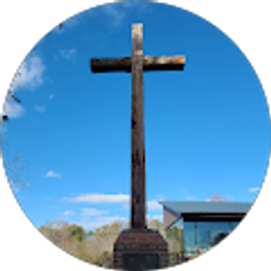 Profile photo of Tae Kim