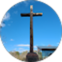 Profile photo of Tae Kim