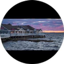 Profile photo of Tracey Stamp