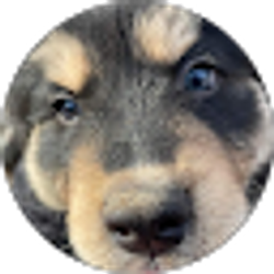 Profile photo of Kay Blackshire