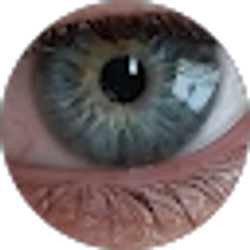 Profile photo of Ballistic Leo