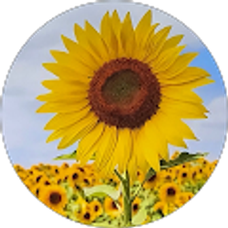 Profile photo of EUY YOUNG SUSANNA MUN