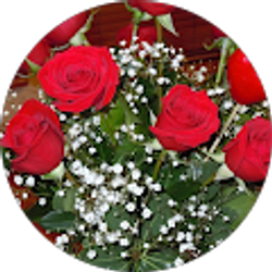 Profile photo of Patsy Byrnes