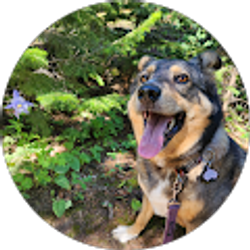 Profile photo of molly damrow