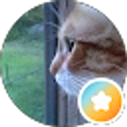 Profile photo of Sheree 2u