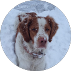 Profile photo of Paul Saunders