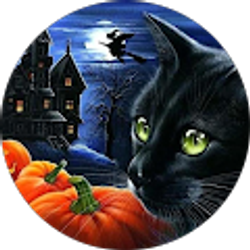 Profile photo of Jen Bass