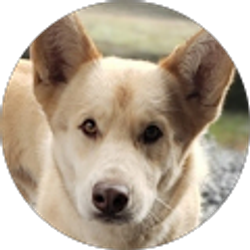 Profile photo of dina cubbage