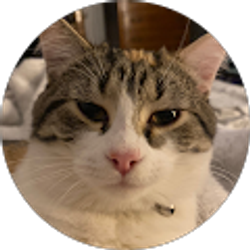 Profile photo of Dylan Deopere