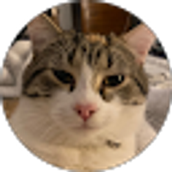 Profile photo of Dylan Deopere