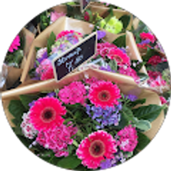 Profile photo of Lucy Daberkow