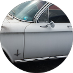 Profile photo of michael ross