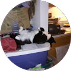 Profile photo of Lori Christy