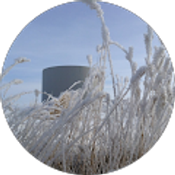 Profile photo of Del Adams