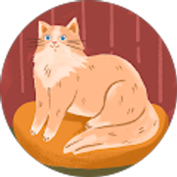 Profile photo of Haylee McGovern