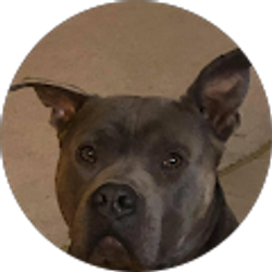 Profile photo of Frosty Outdoors