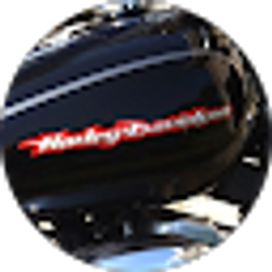 Profile photo of Dan Novitske