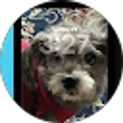 Profile photo of Enriqueta estay