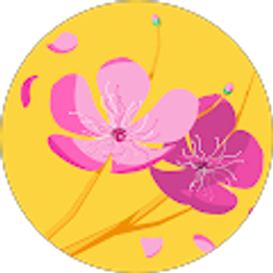 Profile photo of Dailyn Vizcaino