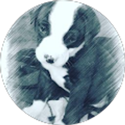 Profile photo of Ben Myers