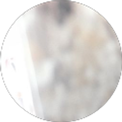 Profile photo of Vivian Mallory