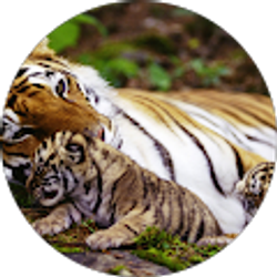 Profile photo of Jessica L